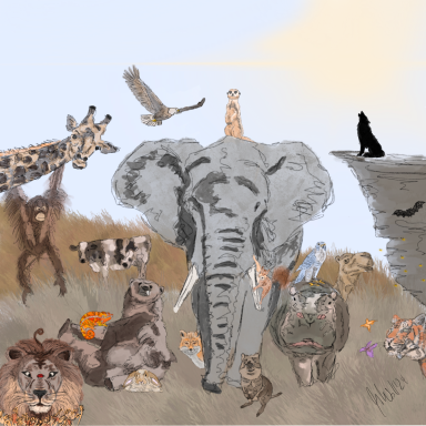 Wildlife