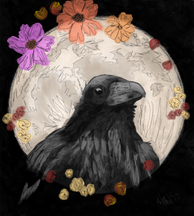 Rabe bei Vollmond